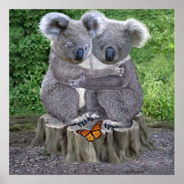 BABY KOALA HUGGIES POSTER (Vorne)