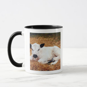 Baby-Kuh, Kalb Tasse