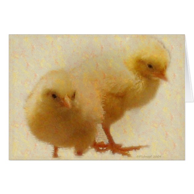 Baby-Küken (Vorderseite (Horizontal))