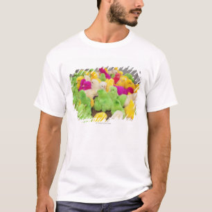 Baby-Küken in einem Stift an einem Markt gefärbt T-Shirt
