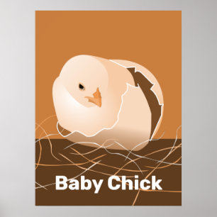 Baby-Küken Orange Küchenwandkunst Poster