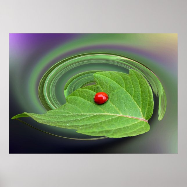 Baby Ladybug Poster (Vorne)