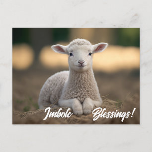 Baby Lamb Imbolc-Segnungen Postkarte