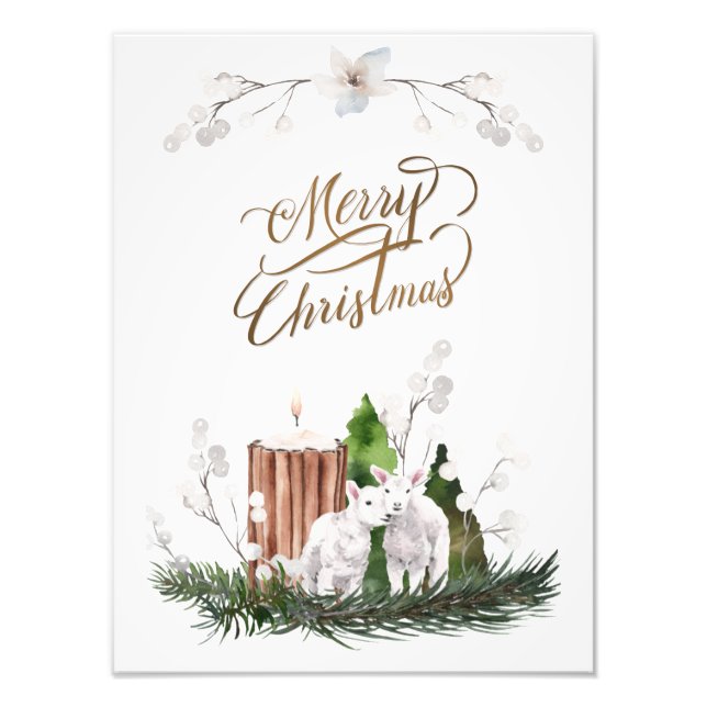 Baby Lamb Pine Candle Christmas Fotodruck (Vorne)
