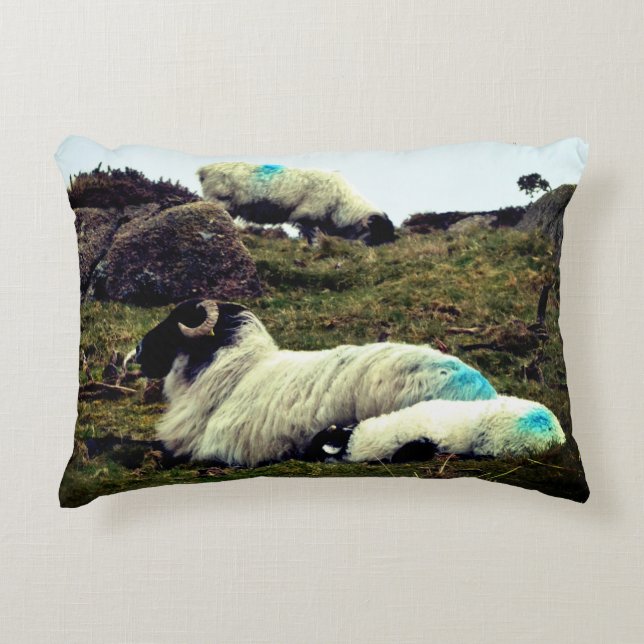 Baby Lamb Schlafen in der Nähe von Wistman's Wood Dekokissen (Vorderseite)