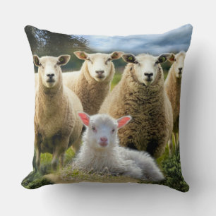 Baby Lamb Sheep Herd Flock Kissen