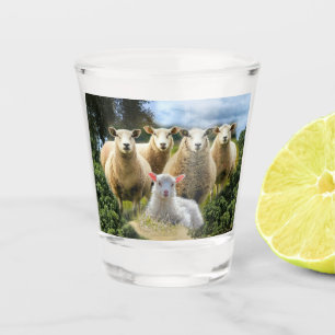 Baby Lamb Sheep Herd Flock Schnapsglas