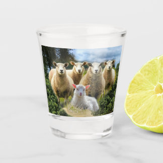 Baby Lamb Sheep Herd Flock Schnapsglas