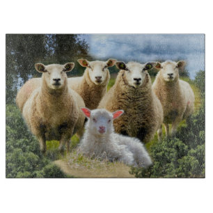 Baby Lamb Sheep Herd Flock Schneidebrett