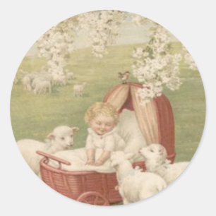 Baby-Lamm-Hartriegel-Baum-Feld Runder Aufkleber