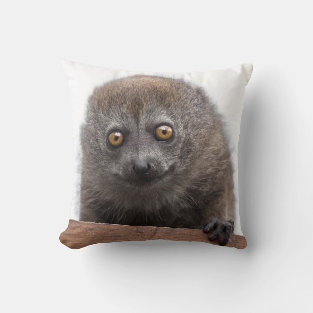 Baby Lemur Pillow Kissen (Vorderseite)