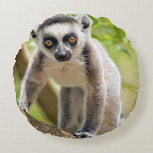 Baby Lemuren mit Ringelschwanz Rundes Kissen