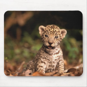 Baby-Leopard Mousepad