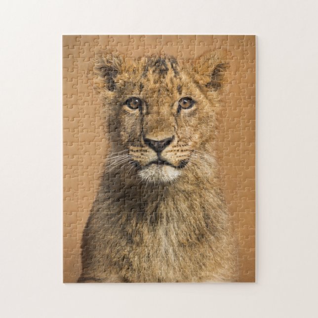 Baby Lion Puzzle (Vertikal)