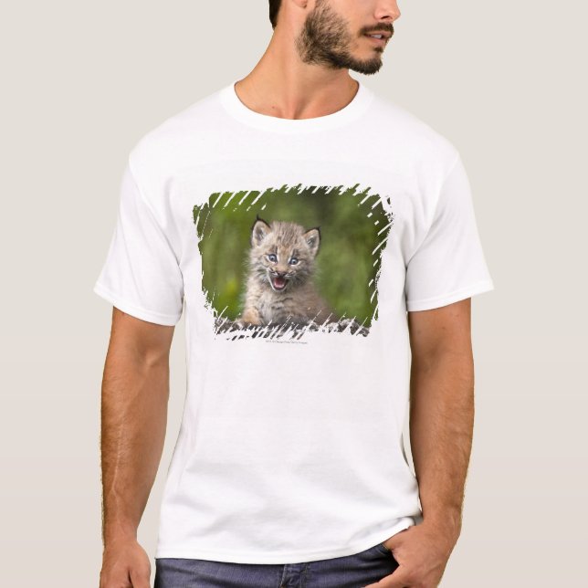 Baby-Luchs, der über A gefallenem Baum schaut T-Shirt (Vorderseite)