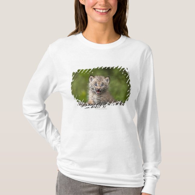 Baby-Luchs, der über A gefallenem Baum schaut T-Shirt (Vorderseite)