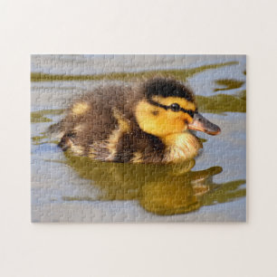 Baby Mallard Duck schwimmen Puzzle