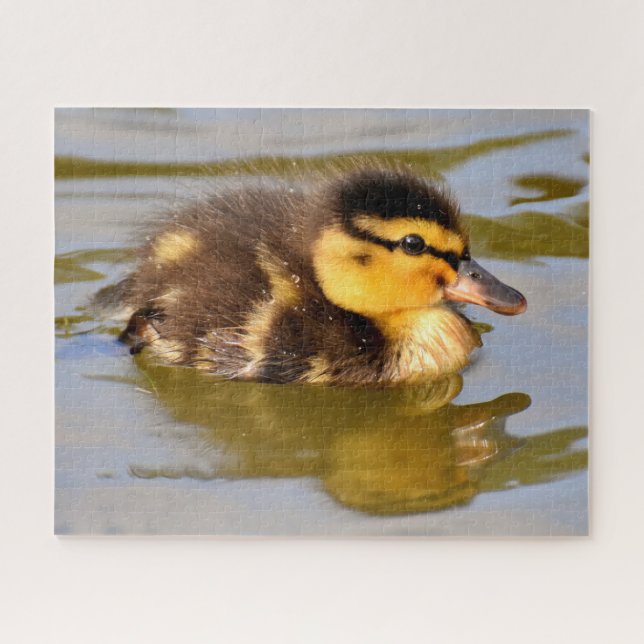 Baby Mallard Duck schwimmen Puzzle (Horizontal)