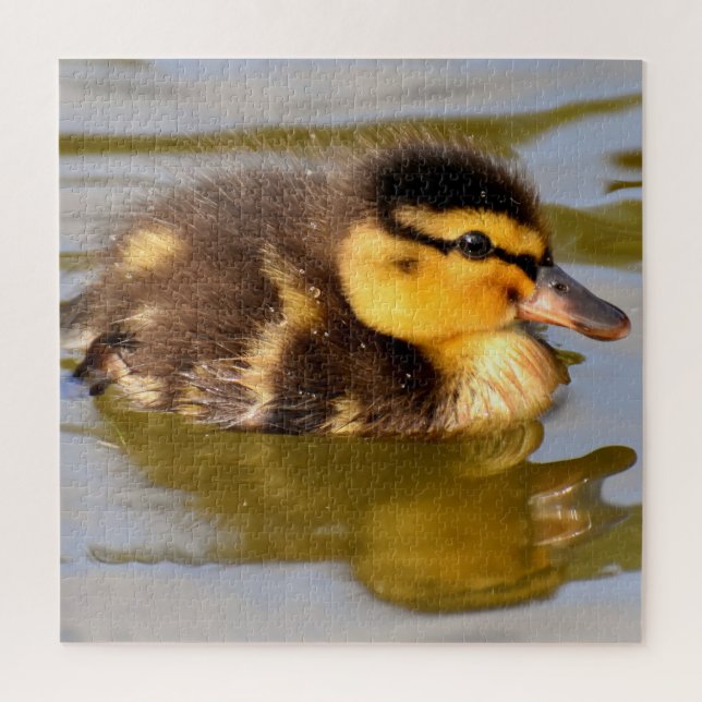 Baby Mallard Duck schwimmen Puzzle (Vertikal)