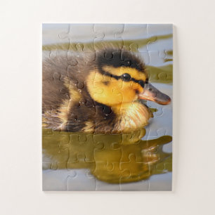 Baby Mallard Duck schwimmen Puzzle