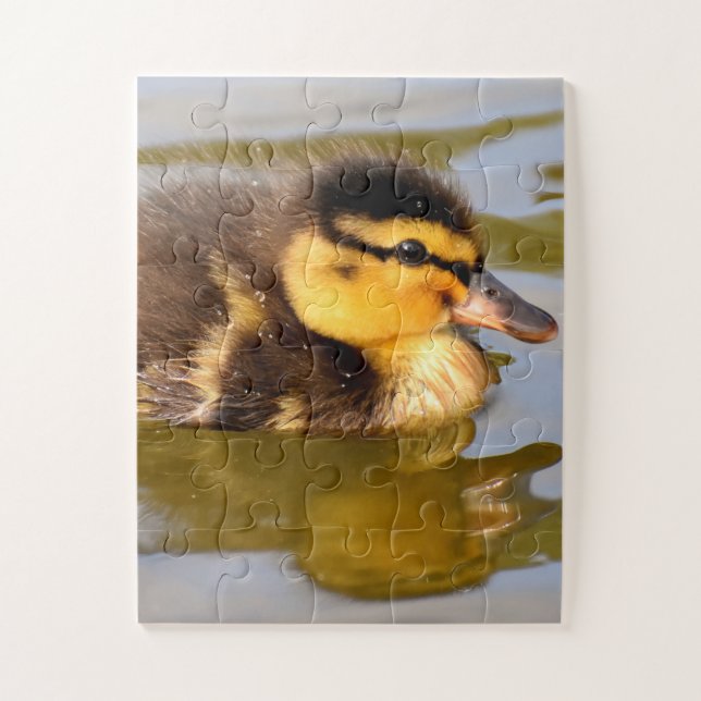 Baby Mallard Duck schwimmen Puzzle (Vertikal)