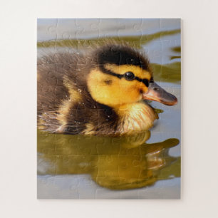 Baby Mallard Ente Schwimmen Puzzle