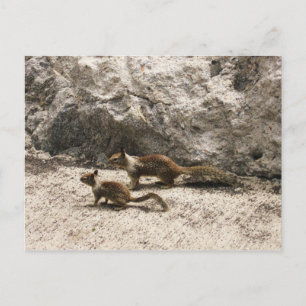 Baby & Mama Squirrel Postkarte