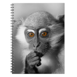 Baby Mangabey Monkey Notizblock