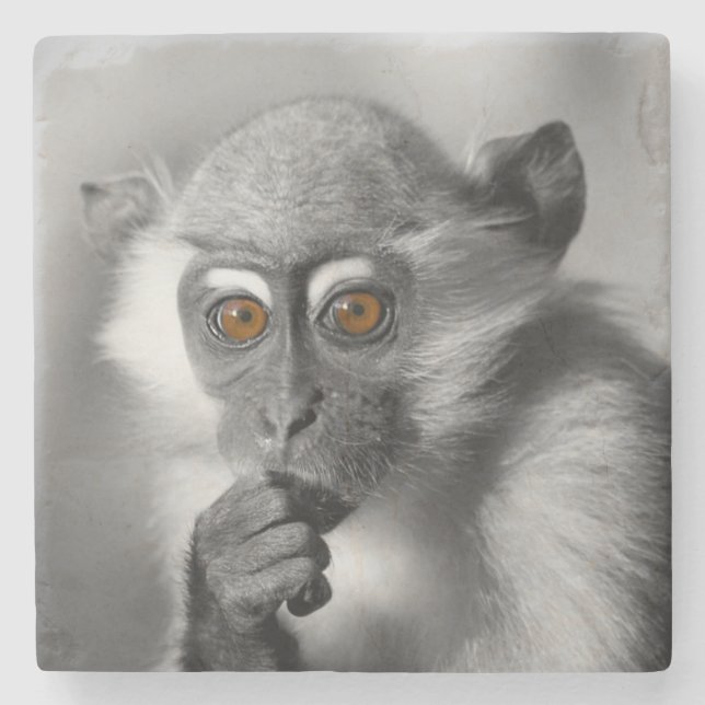 Baby Mangabey Monkey Steinuntersetzer (Vorderseite)