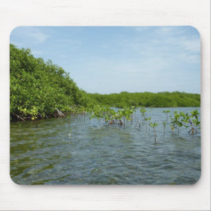 Baby Mangrove Trees in der Karibik Mousepad