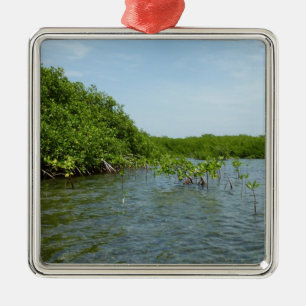 Baby Mangrove Trees in der Karibik Silbernes Ornament