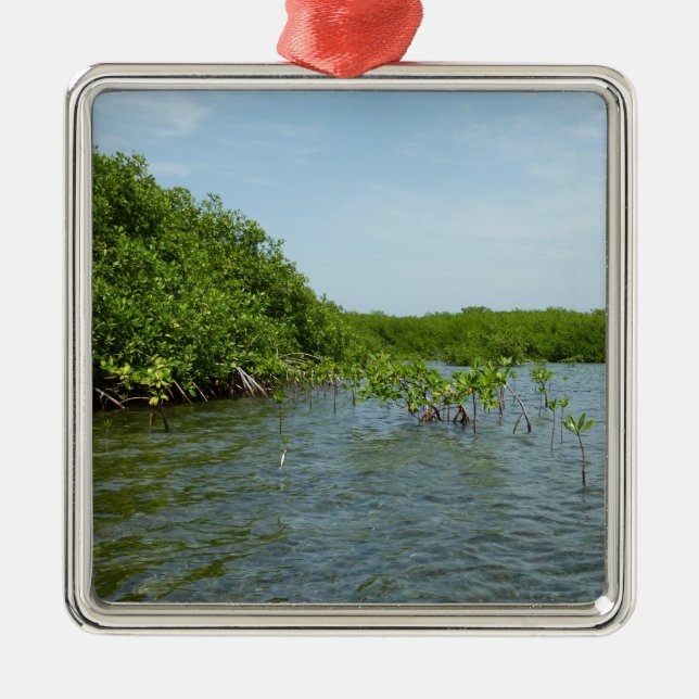 Baby Mangrove Trees in der Karibik Silbernes Ornament (Vorne)