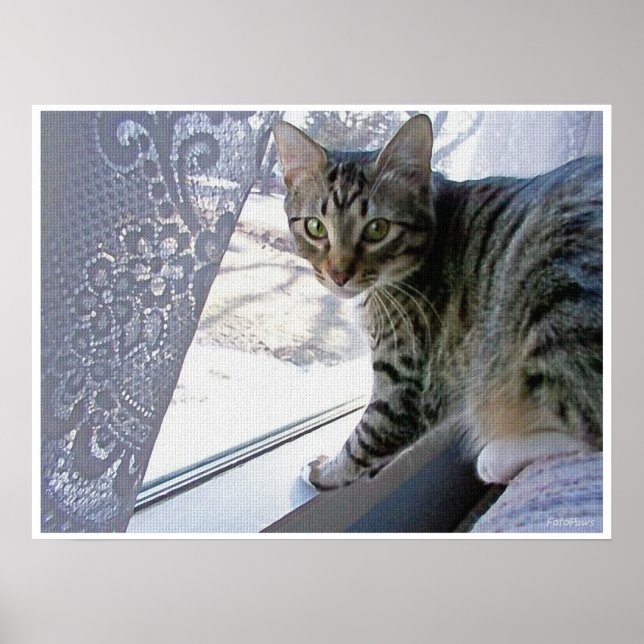 Baby Max Poster (Vorne)