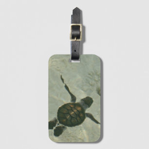 Baby-Meeresschildkröte, die heraus zum Meer Gepäckanhänger