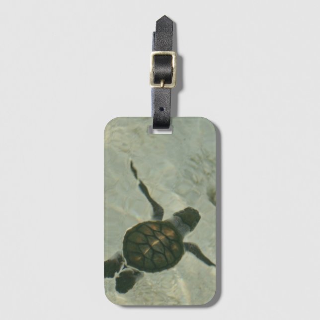 Baby-Meeresschildkröte, die heraus zum Meer Gepäckanhänger (Vorderseite Vertikal)