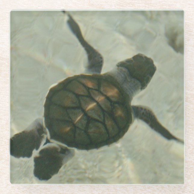 Baby-Meeresschildkröte, die heraus zum Meer Glasuntersetzer (Vorderseite)