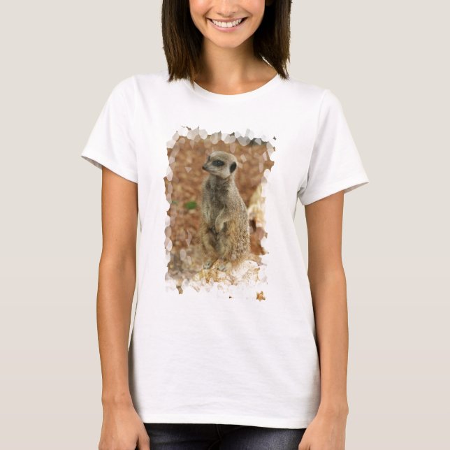 Baby Meerkat Damen-angepasster T - Shirt (Vorderseite)