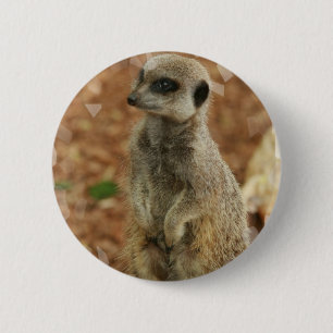 Baby Meerkat runder Knopf Button