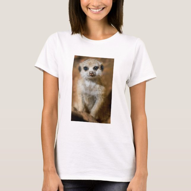 Baby Meerkat T-Shirt (Vorderseite)