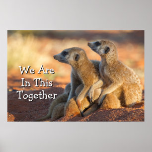 Baby Meerkats Fell unter ihren Eltern Poster