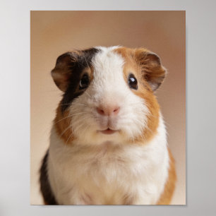 Baby-Meerschweinchen-Porträt – Süßes Kinderzimmer- Poster