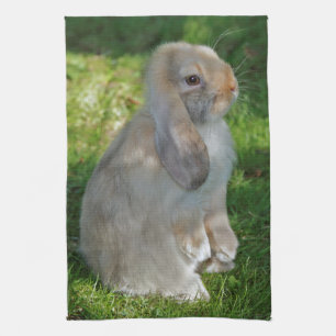 Baby Minilop Kaninchen-Geschirrtuch Geschirrtuch