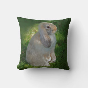 Baby Minilop Kaninchen Kissen