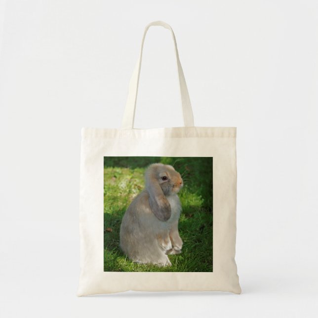 Baby Minilop Kaninchen-Tasche Tragetasche (Vorne)