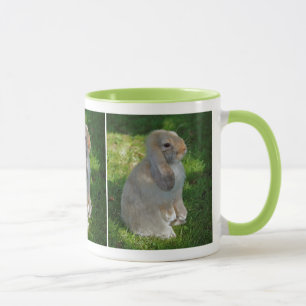 Baby Minilop Rabbit Tasse