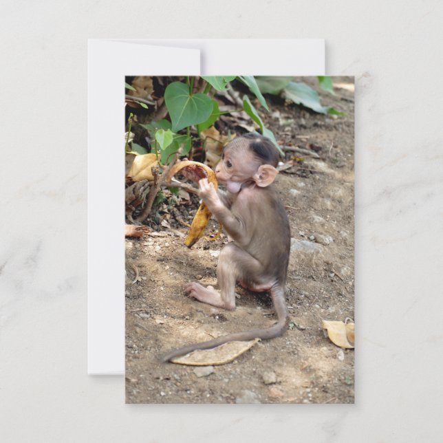 Baby Monkey (Vorderseite)