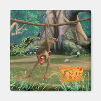 Baby Monkey Magnet