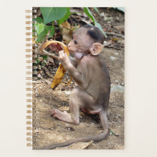 Baby Monkey Planer