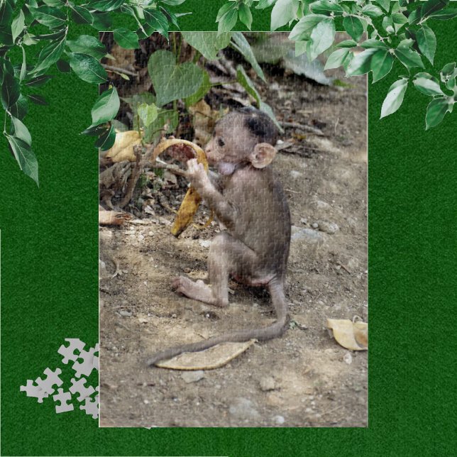 Baby Monkey Puzzle (Von Creator hochgeladen)