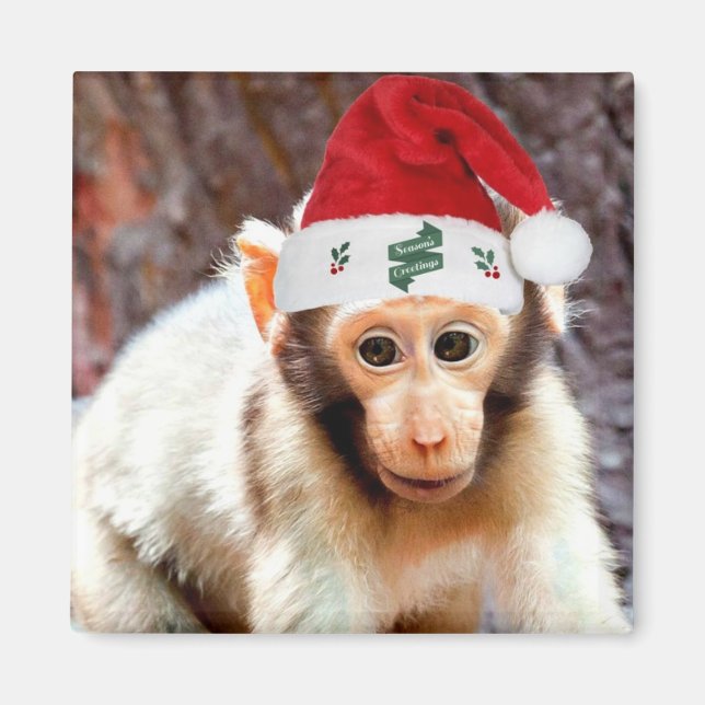 Baby Monkey zu Weihnachten Magnet (Vorne)